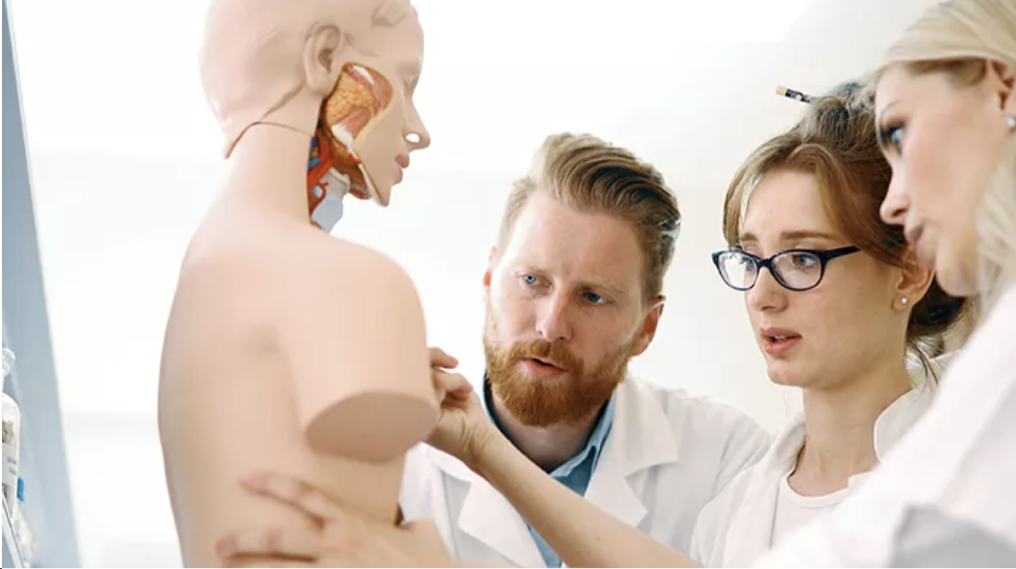 School Laboratory Technician