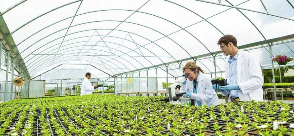 Agricultural Scientist