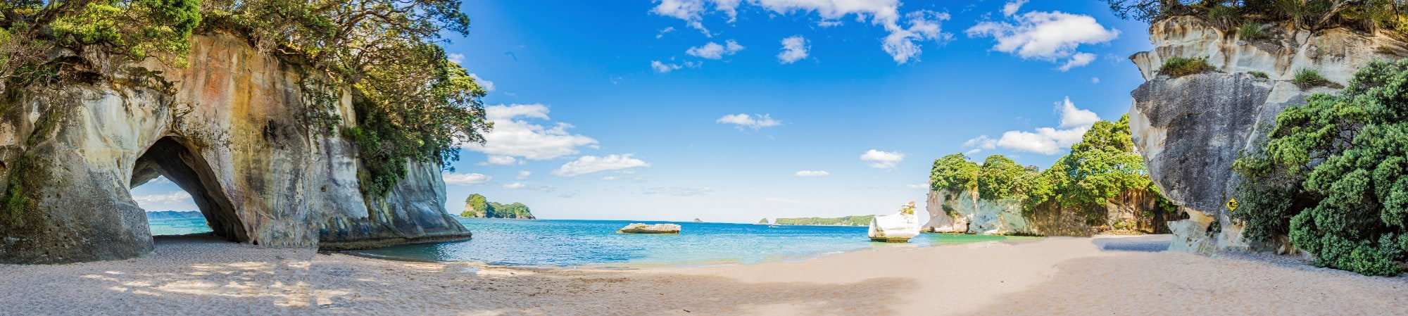 Beach New Zealand banner