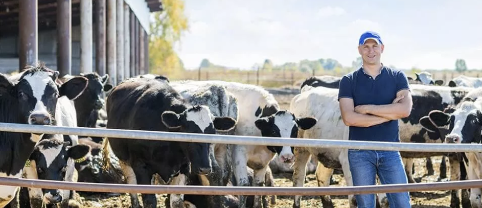 Beef Cattle Farmer or Grazier