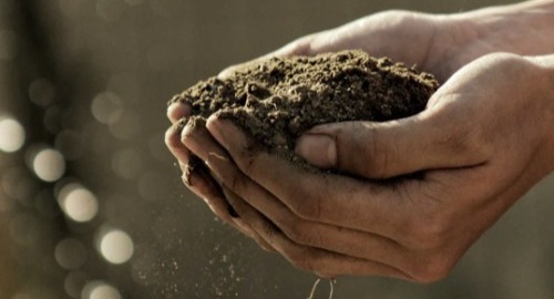 Man holding soil