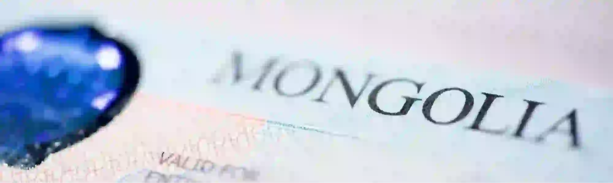 Executive Search Services in Mongolia: How Top Talent Is Found