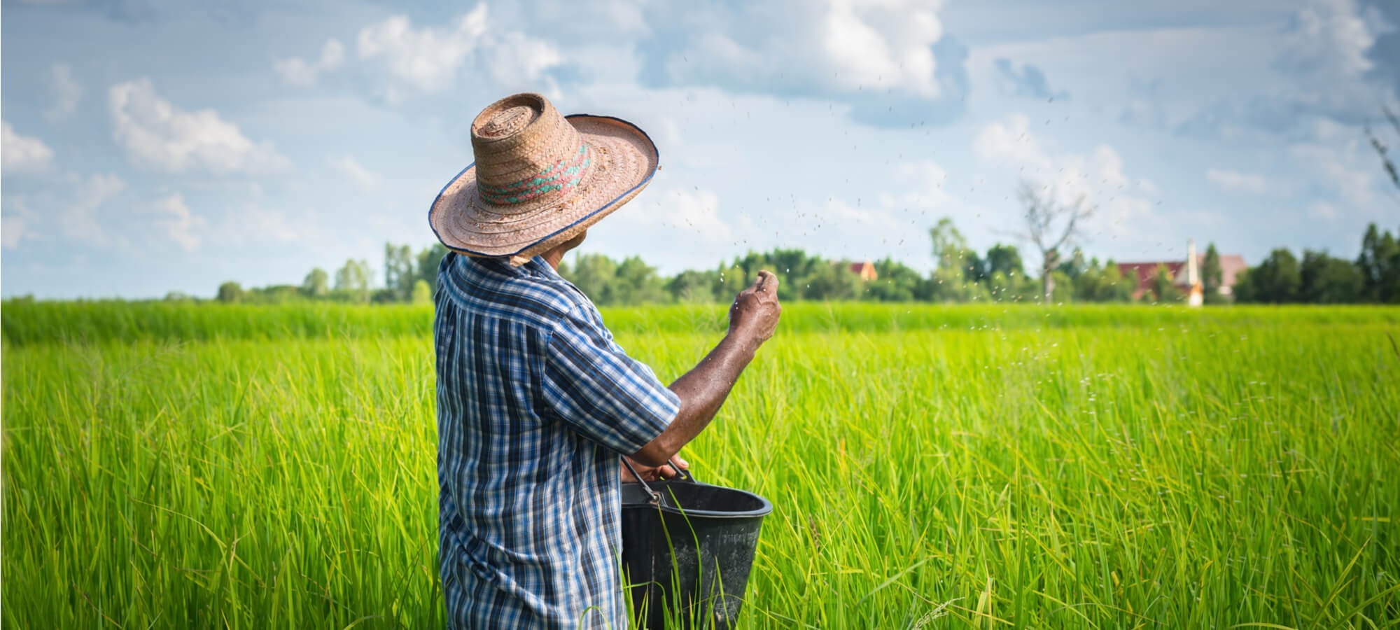 Farmer fertilising