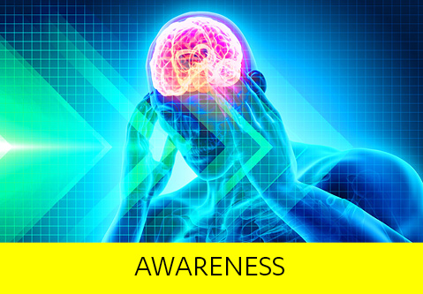 Awareness   Brain