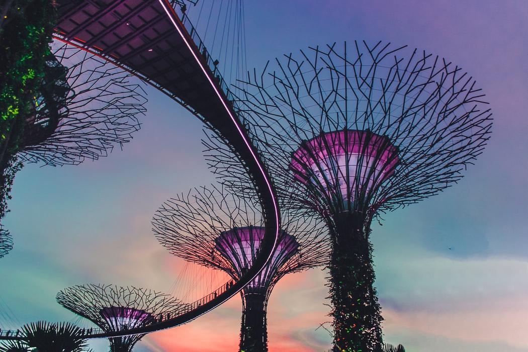 How Is Singapore Coping