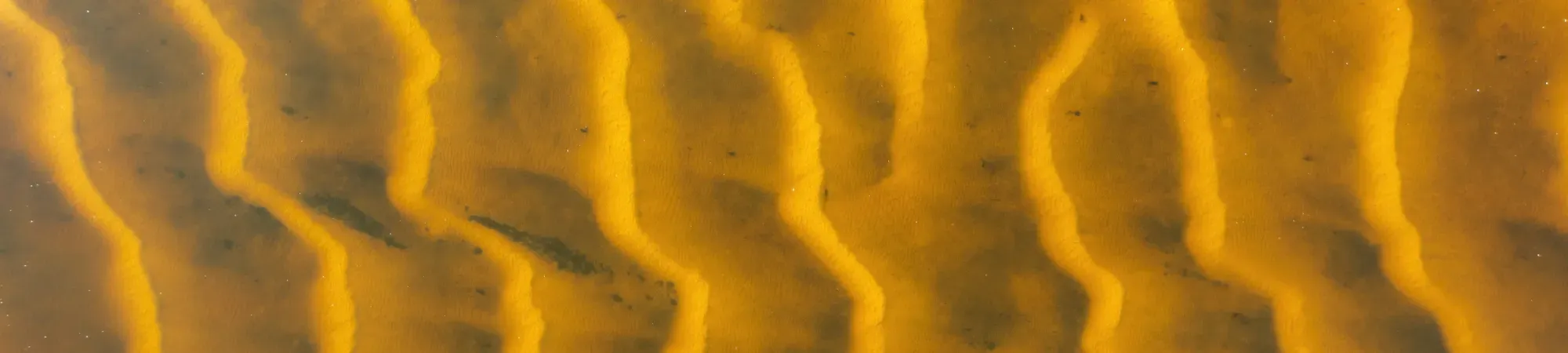 Ripples in yellow sand