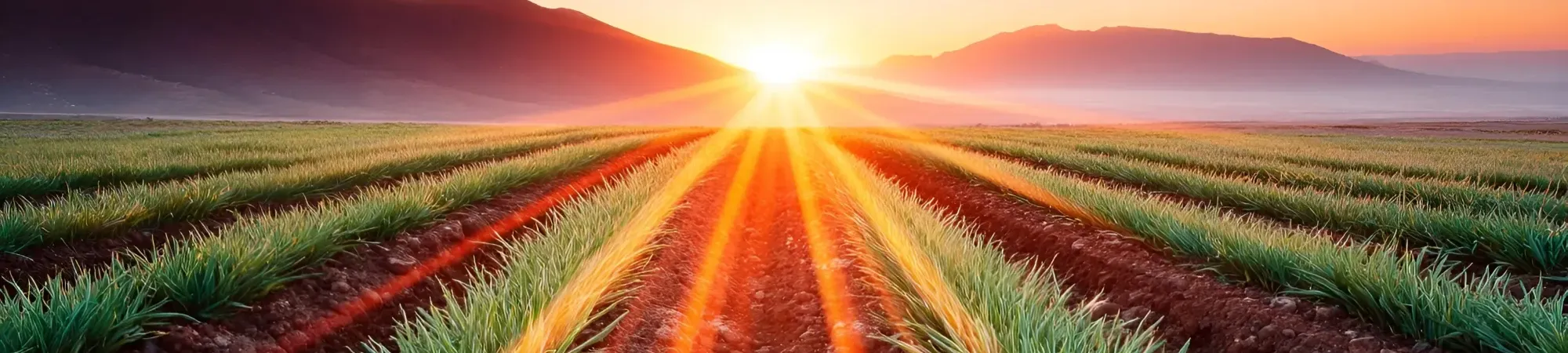 Agri recruitment agency in Australia