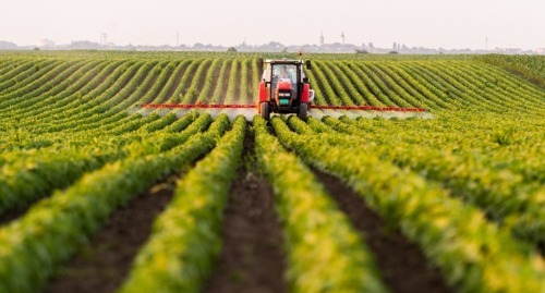 Tractor fertilising the crops