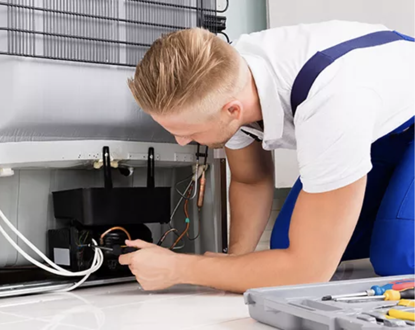 Electrotechnology and Telecommunications Trades