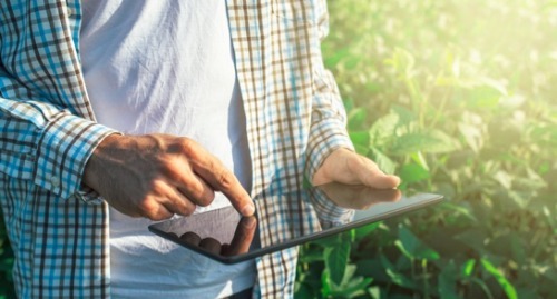 Young farmer using a tablet