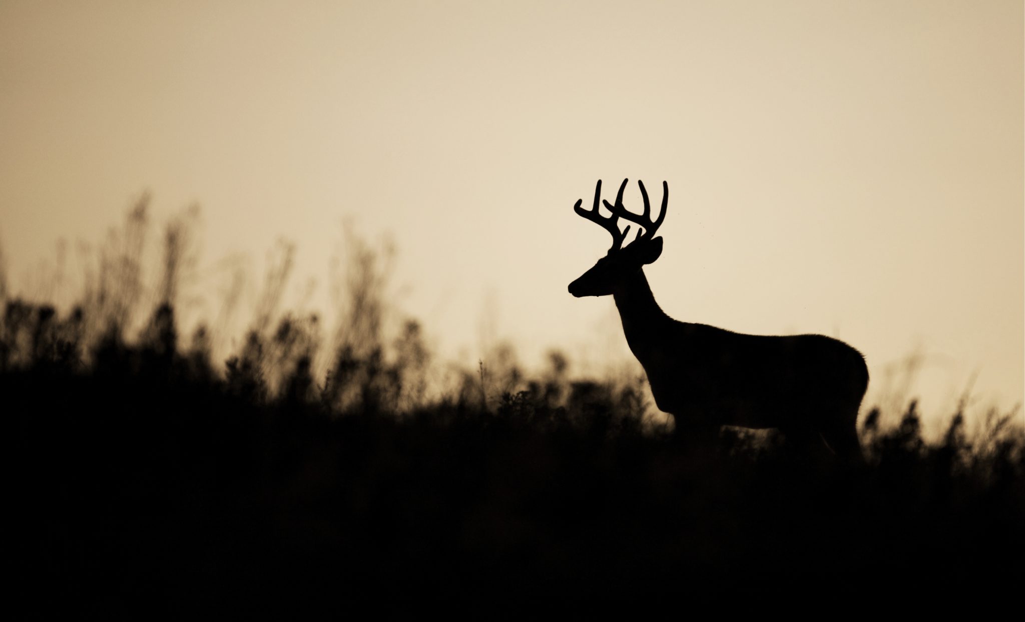 Blog Img