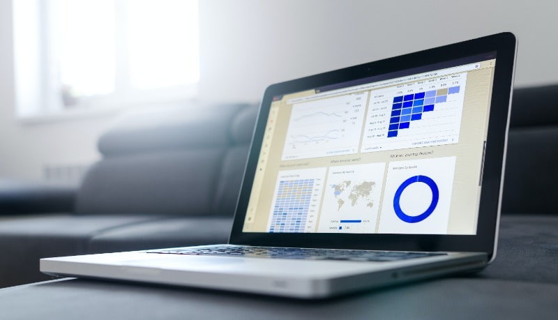 Census Data Graphs and Charts on Laptop