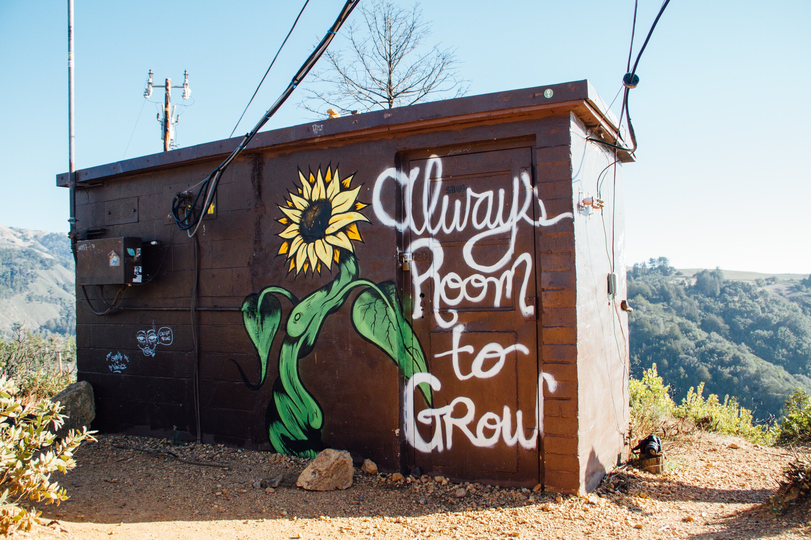 Always room to grow mural on hut