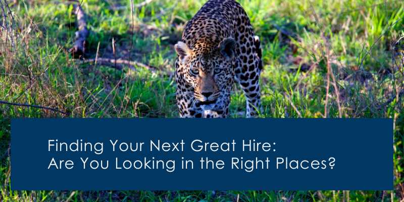 Blog Finding Your Next Great Hire