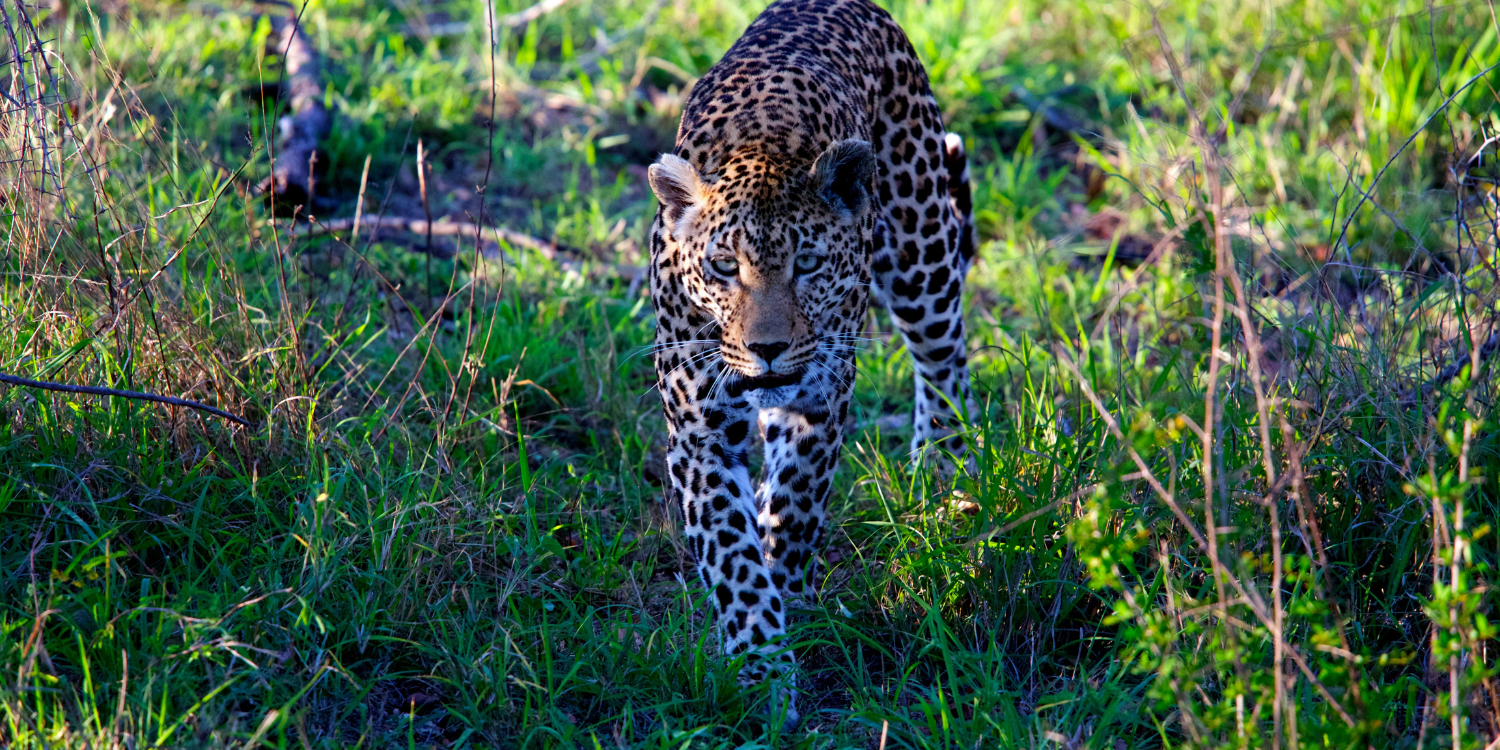 Blog Finding Your Next Great Hire