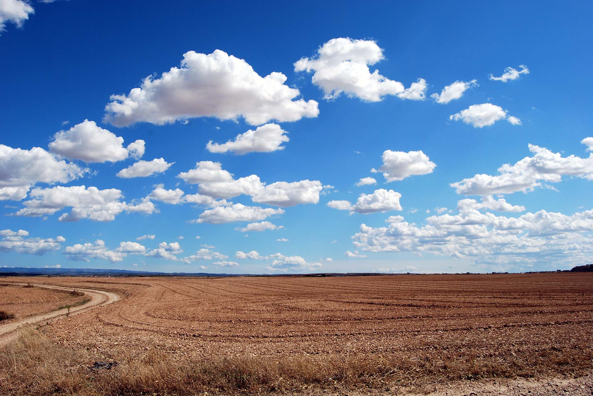 Working in Hot Weather - Strive for Safety