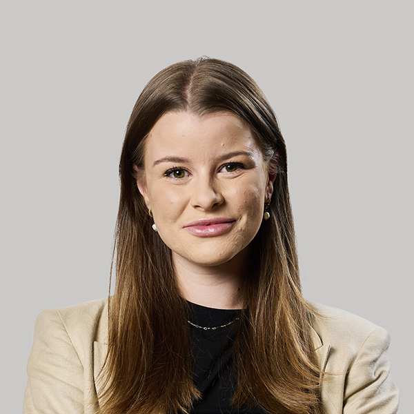 consultant