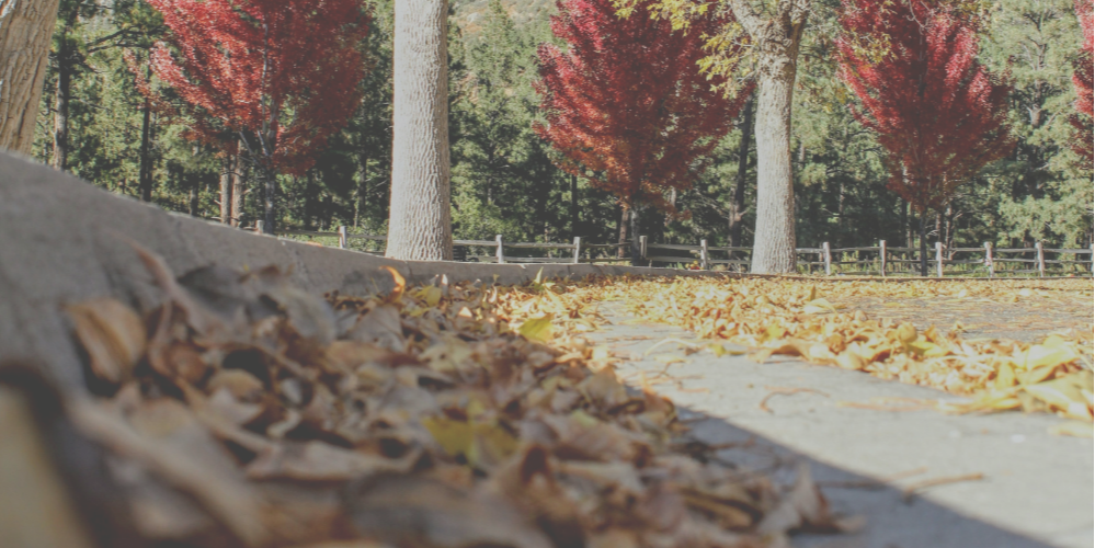 The Most Common Fears About Contracting And How To Kick Them To The Curb