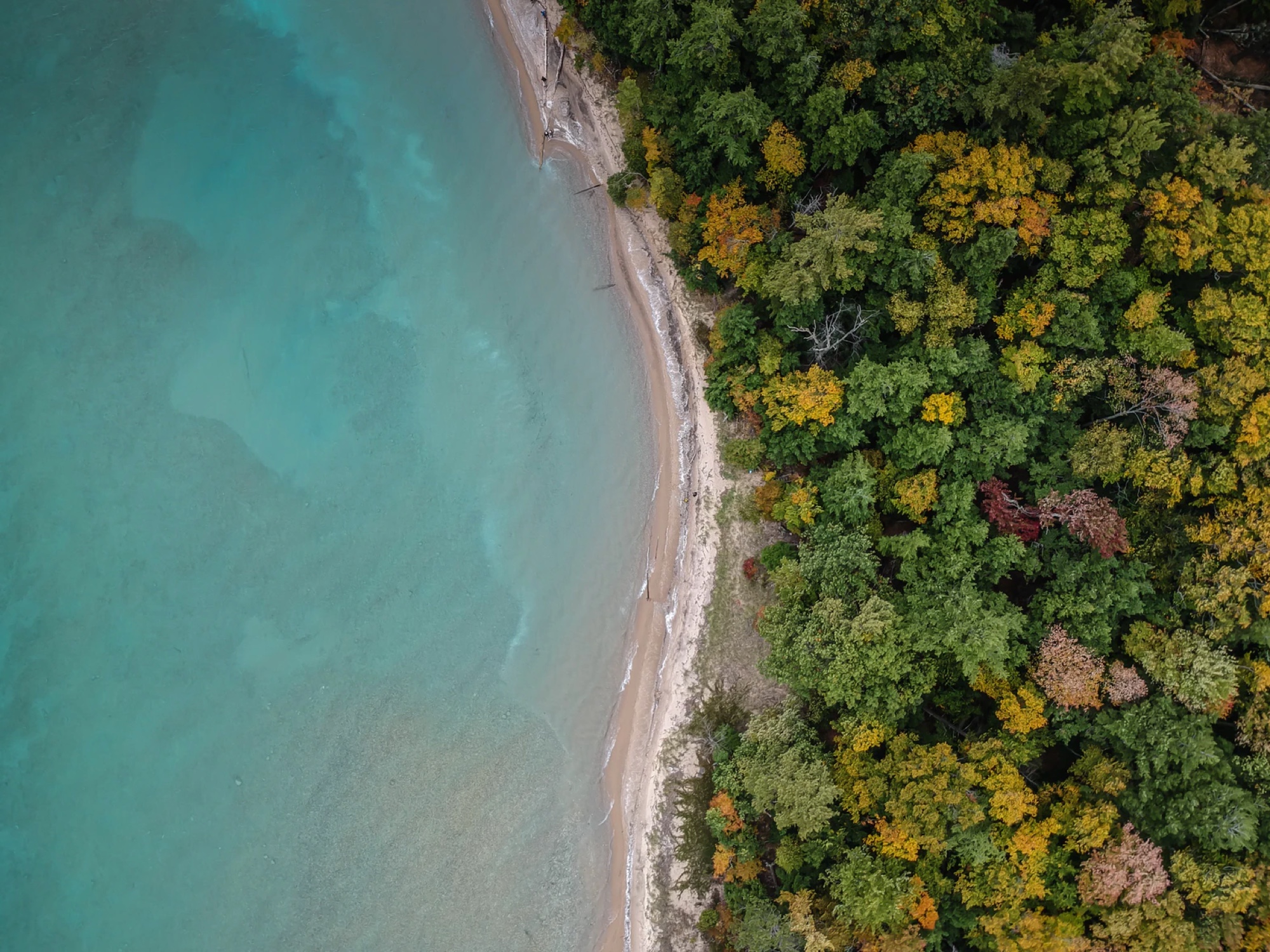 All jobs near Melbourne in the Public Sector sector · Aspect