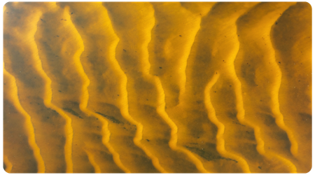 rippling yellow sand