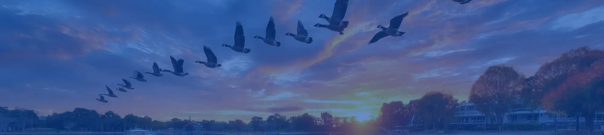 Arrive Australia About us Banner 