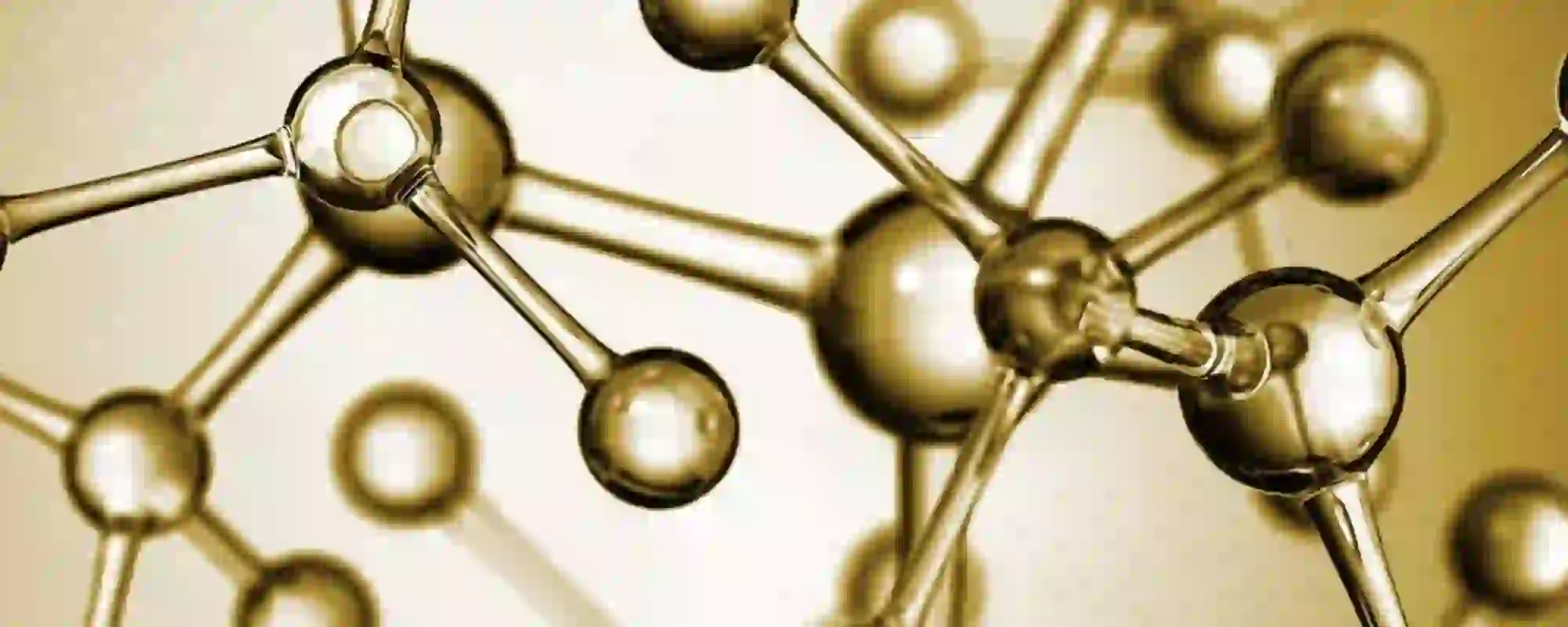 Image 2025 11 08 T09 26 33