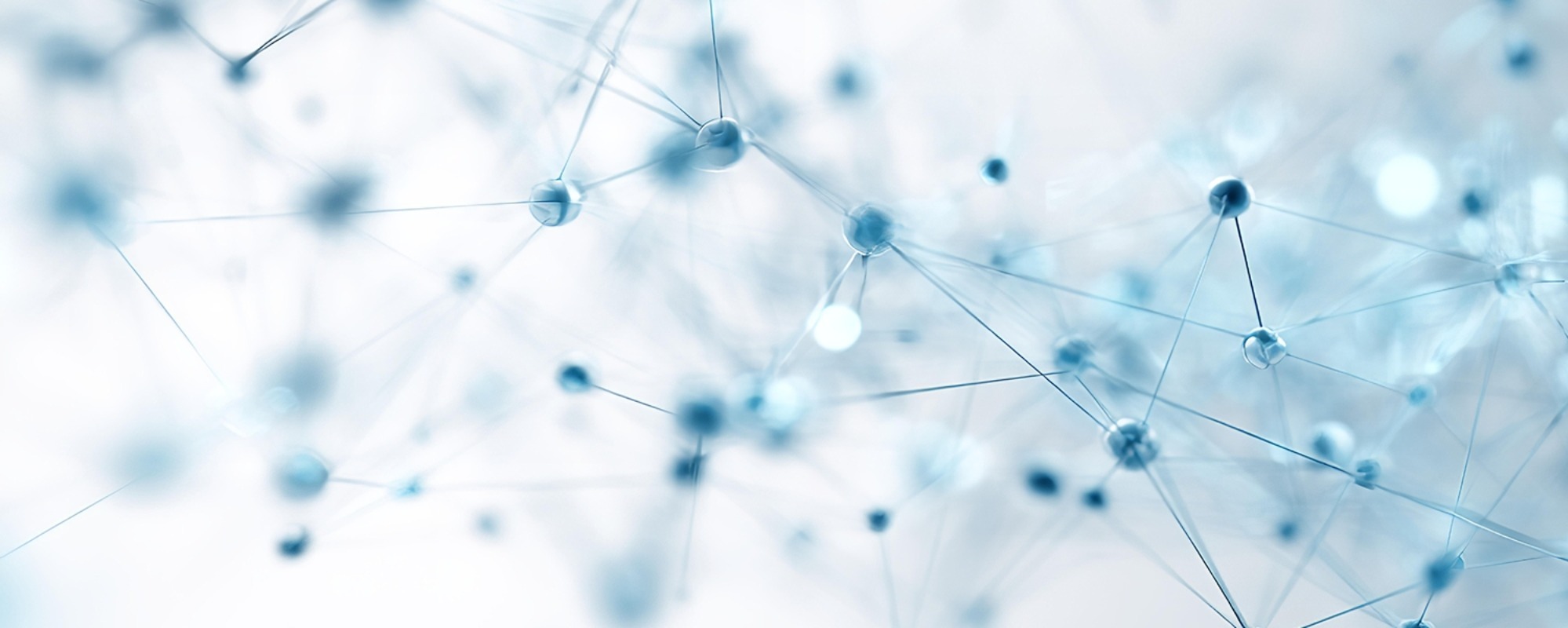 Image 2026 03 09 T10 36 04