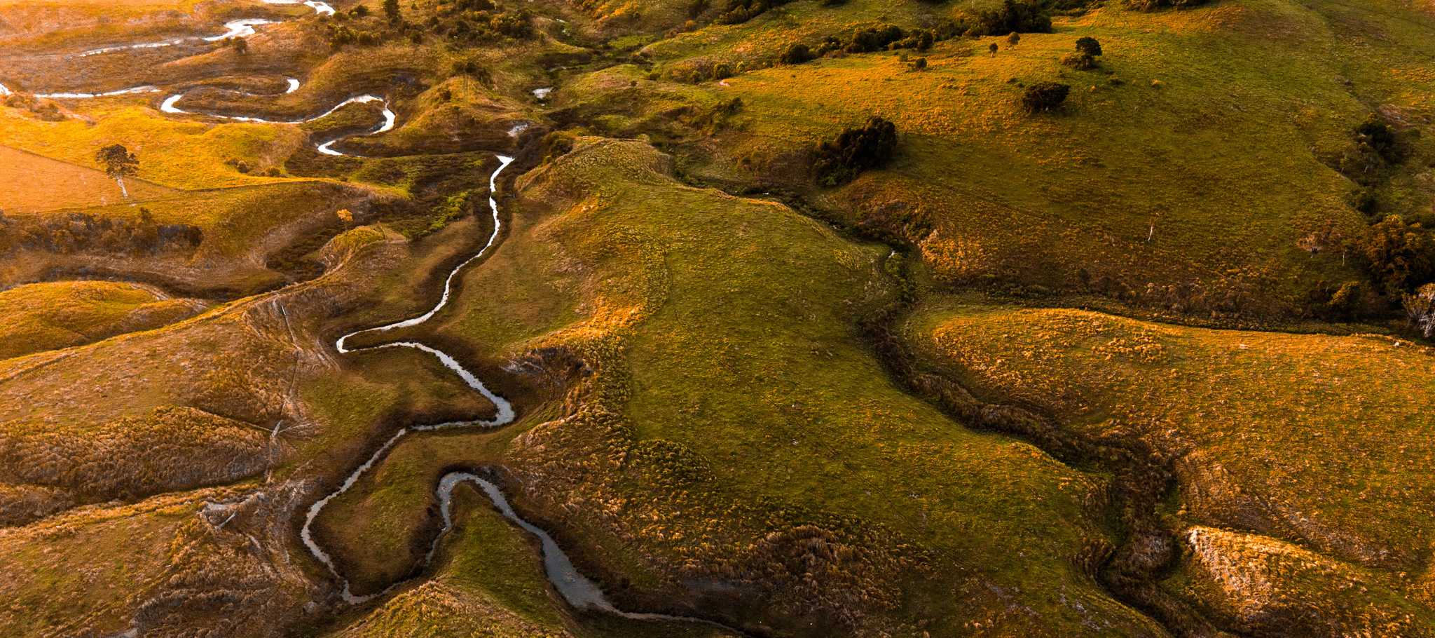 Sarah Jenkins Aerial Creeks Photo 6553642 Dji 42 Jpg 17674523 0 2020922175916 Photo Original Barrine Crop Blog