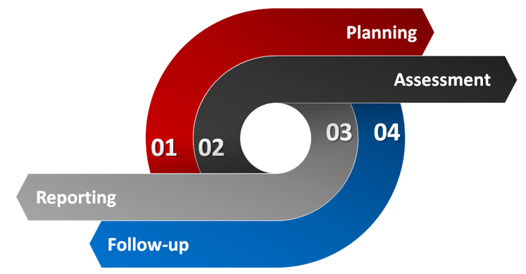 Audit Process