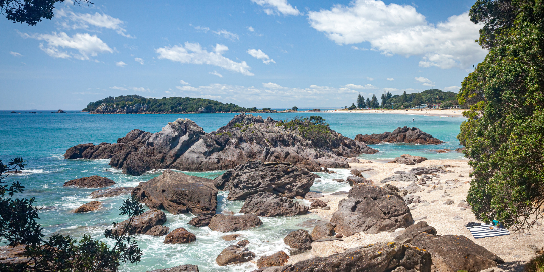 NZ beach and ocean landscape