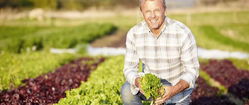 Vegetable Farm Worker
