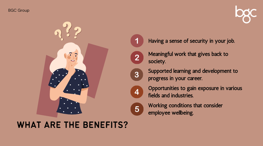The Benefits of a Job in the Public Sector