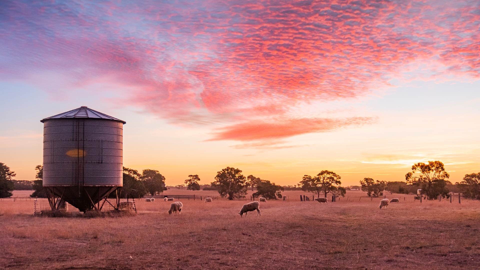 Agriculture in Australia: What's Trending in 2023