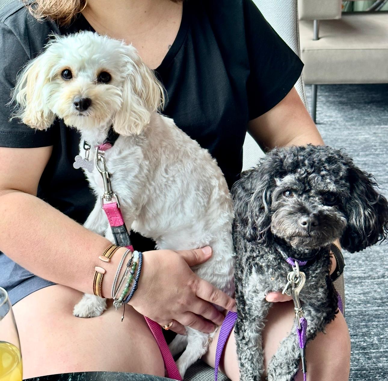 Essie & Livvy 