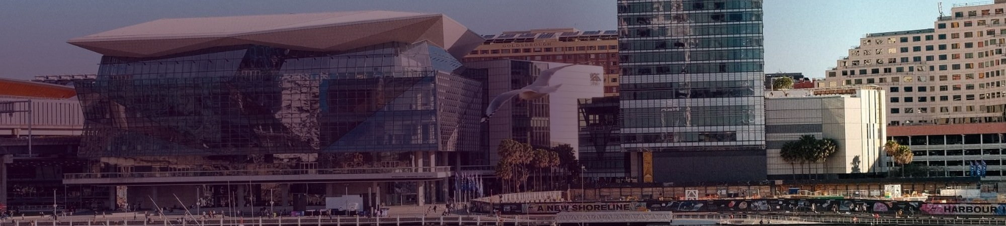 Banner Default Image