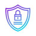 Security & IT Risk