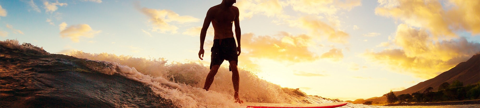 I.T. Recruitment Consultancy. Surfing into sunset.  TheDriveGroup