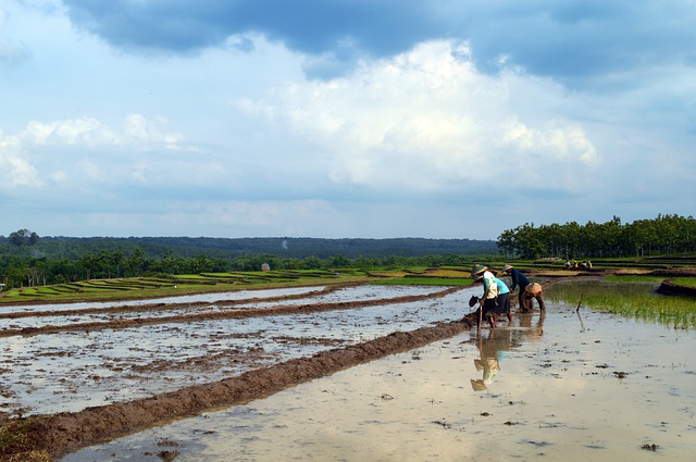 Indonesia