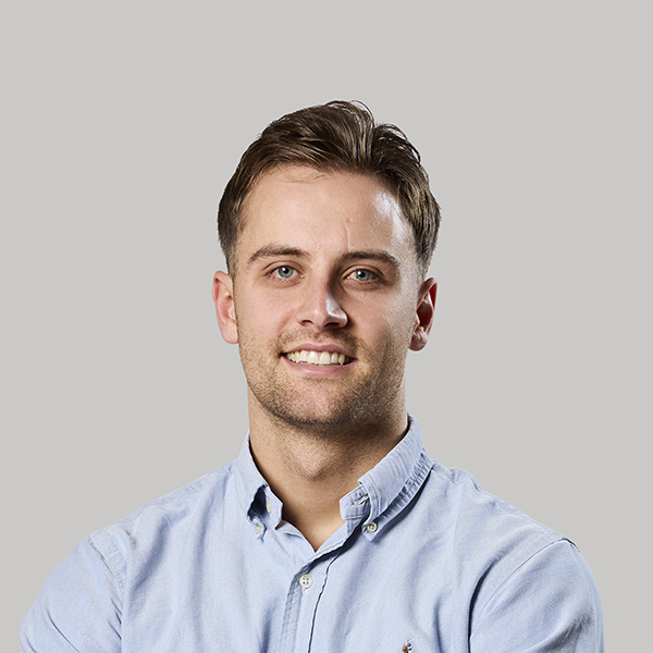 consultant