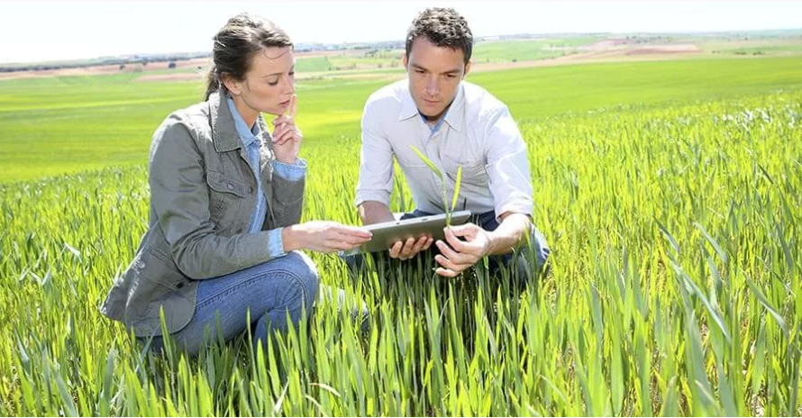 Agricultural Consultant 