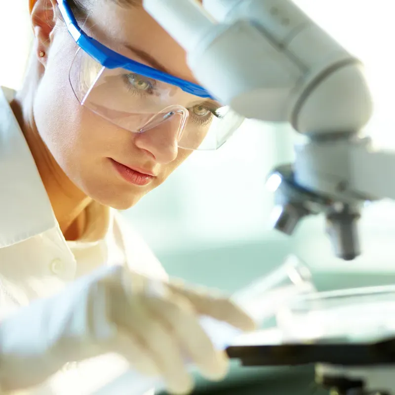 Image 2025 11 17 T04 26 52