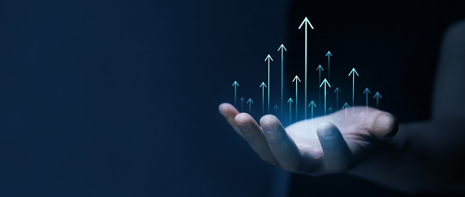 Sales and Marketing