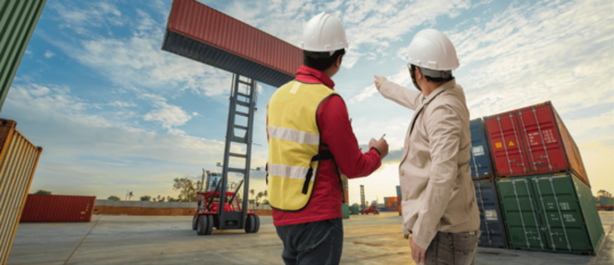 Momentum Supply Chain