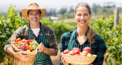 Young couple smiling with apples in a basket