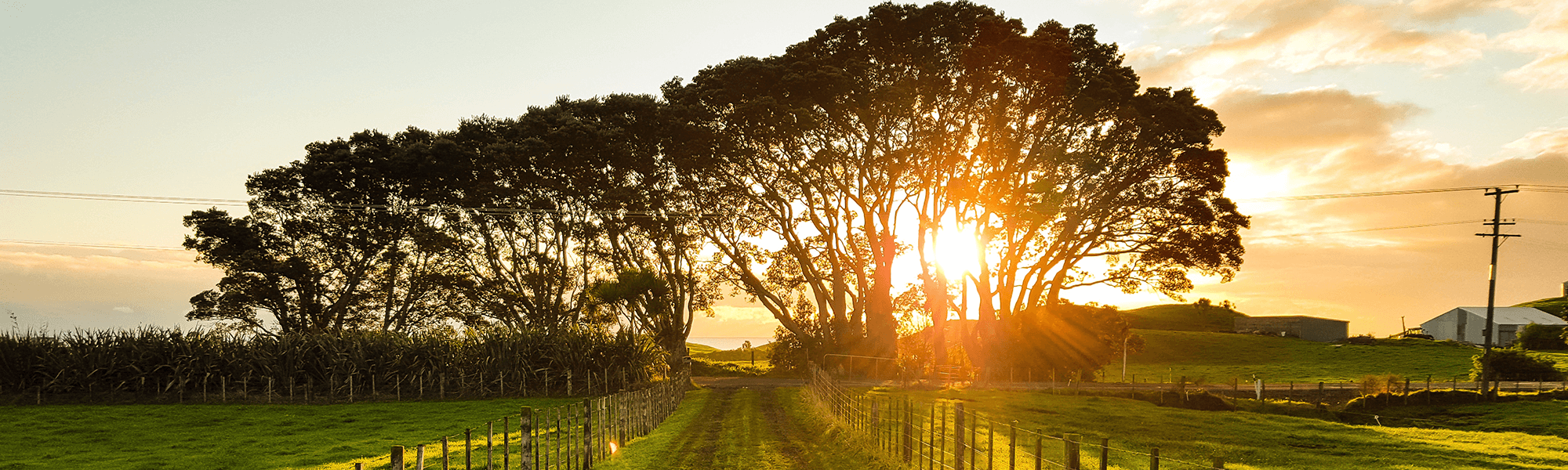 Farm in Scone