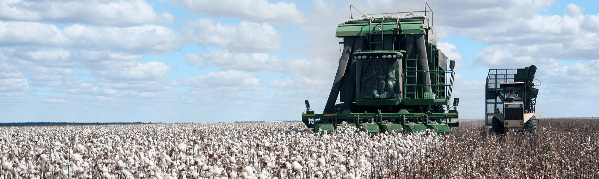 Cotton Farming