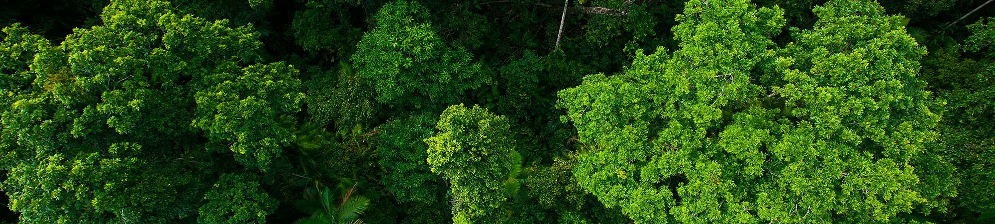 Grow Rural North Queensland