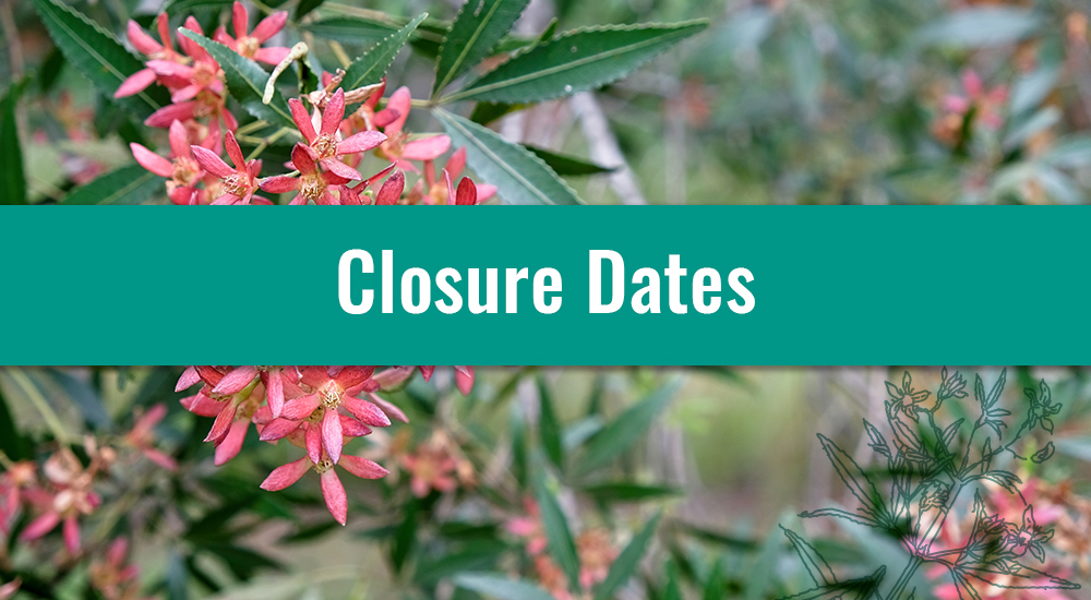 Xmas Closure Dates Blog Header