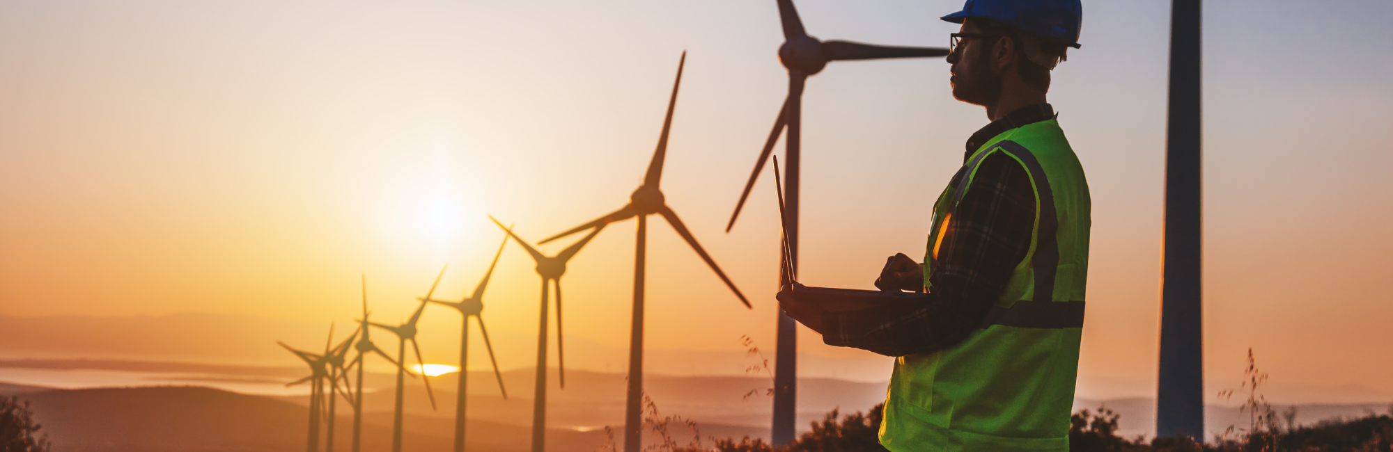Why a Renewable Energy Career Is More Relevant Than Ever 