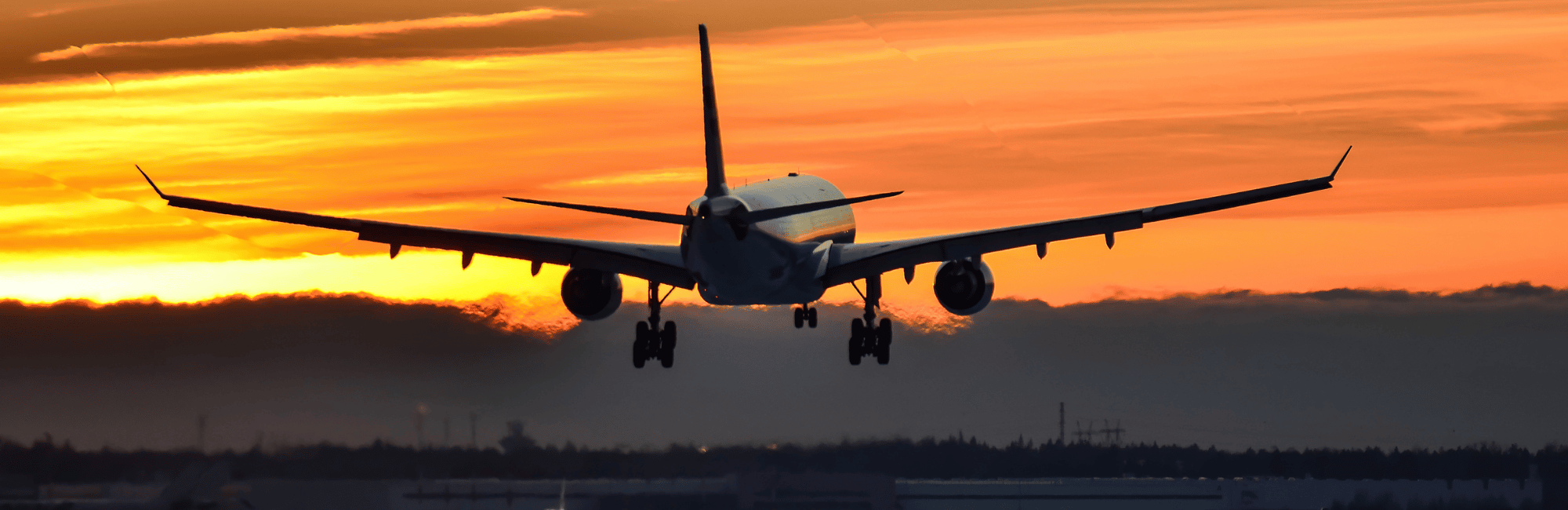 Immigration vs Education and Skills Training. What is Best for Australia?